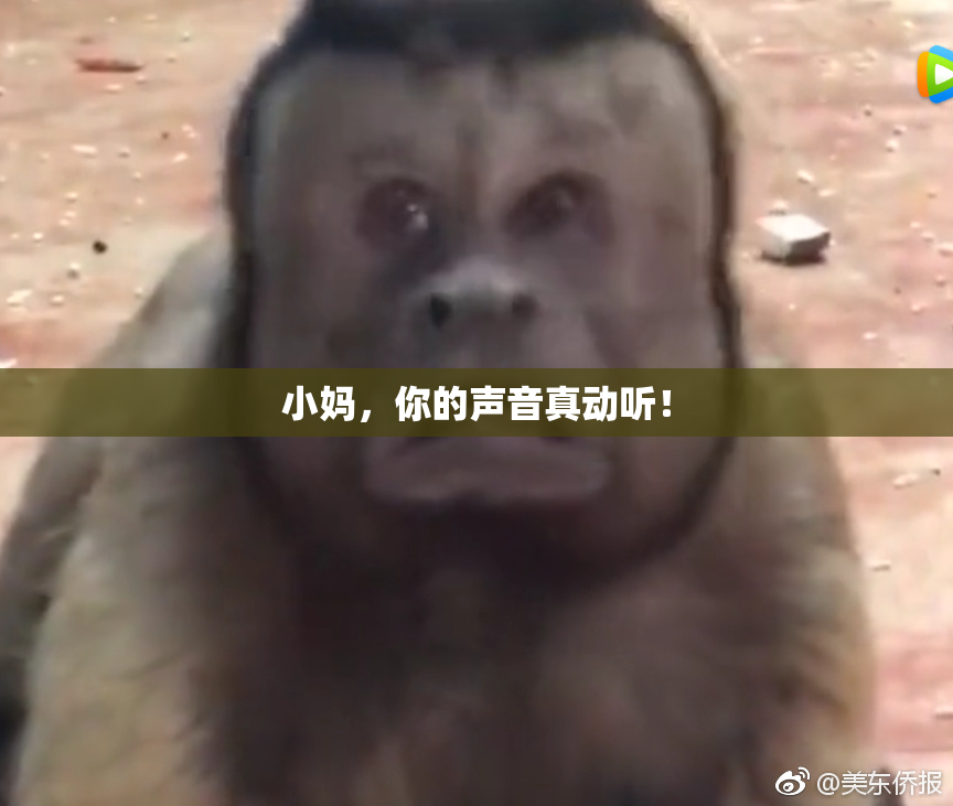 小妈，你的声音真动听！