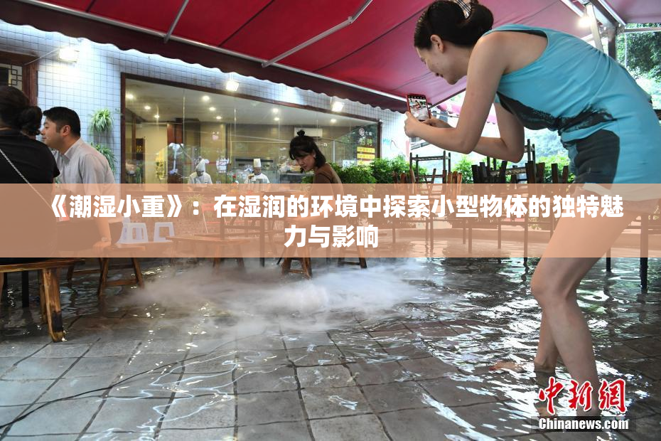 《潮湿小重》：在湿润的环境中探索小型物体的独特魅力与影响