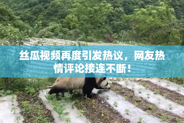 丝瓜视频再度引发热议，网友热情评论接连不断！