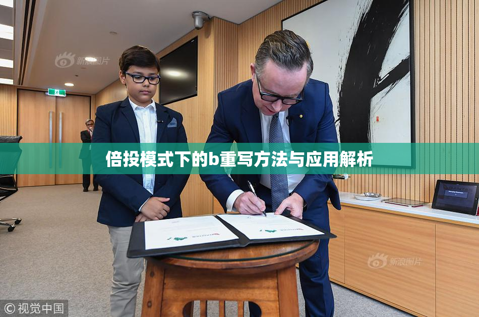倍投模式下的b重写方法与应用解析