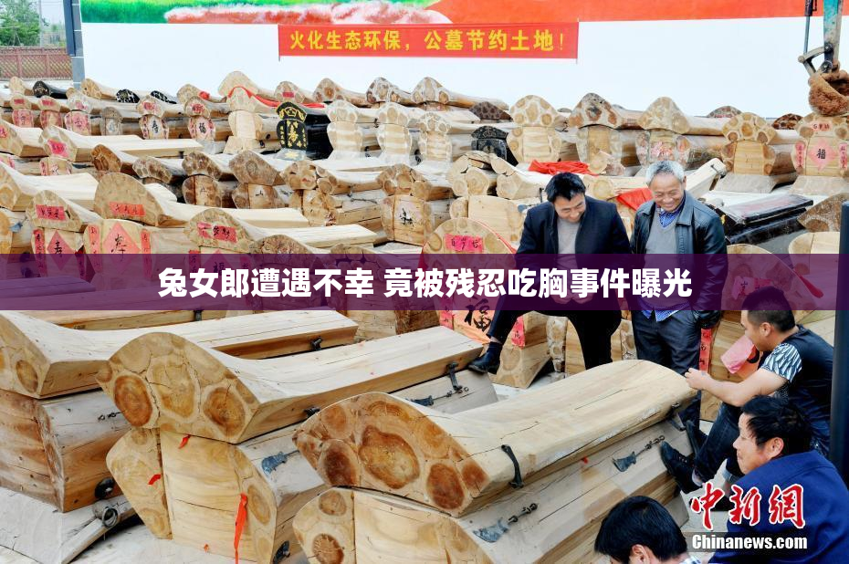 兔女郎遭遇不幸 竟被残忍吃胸事件曝光