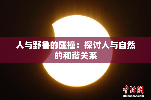 人与野鲁的碰撞：探讨人与自然的和谐关系