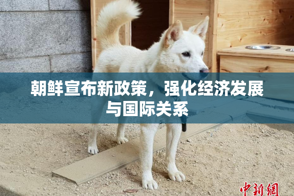 朝鲜宣布新政策，强化经济发展与国际关系