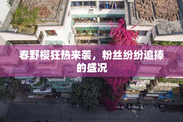 春野樱狂热来袭，粉丝纷纷追捧的盛况