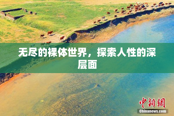 无尽的裸体世界，探索人性的深层面