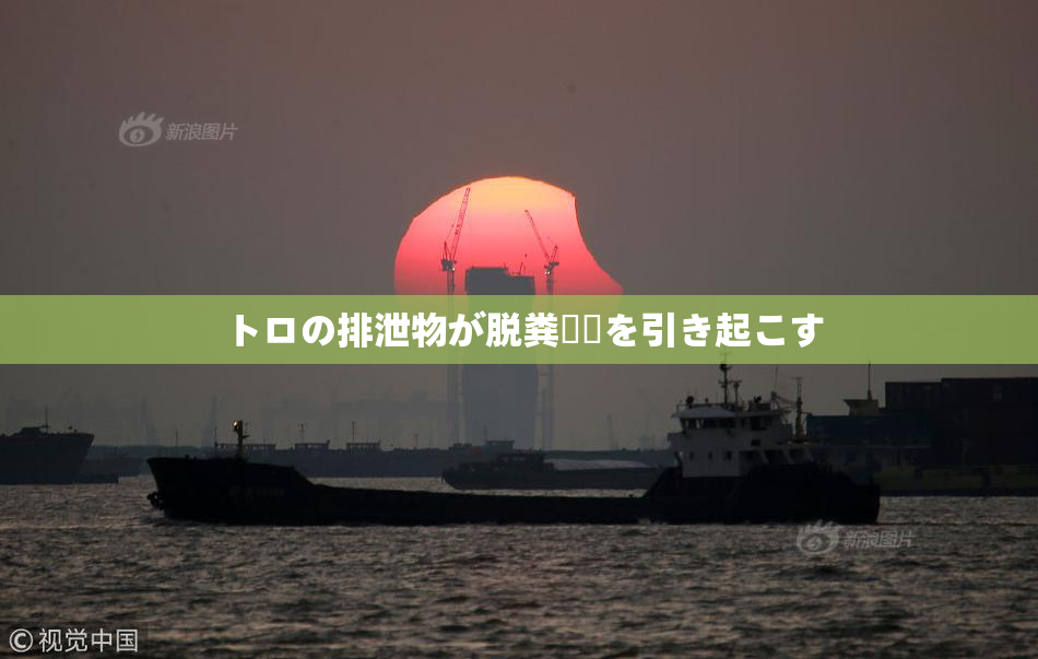 トロの排泄物が脱粪問題を引き起こす