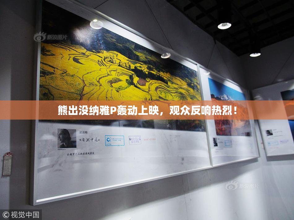 熊出没纳雅P轰动上映，观众反响热烈！
