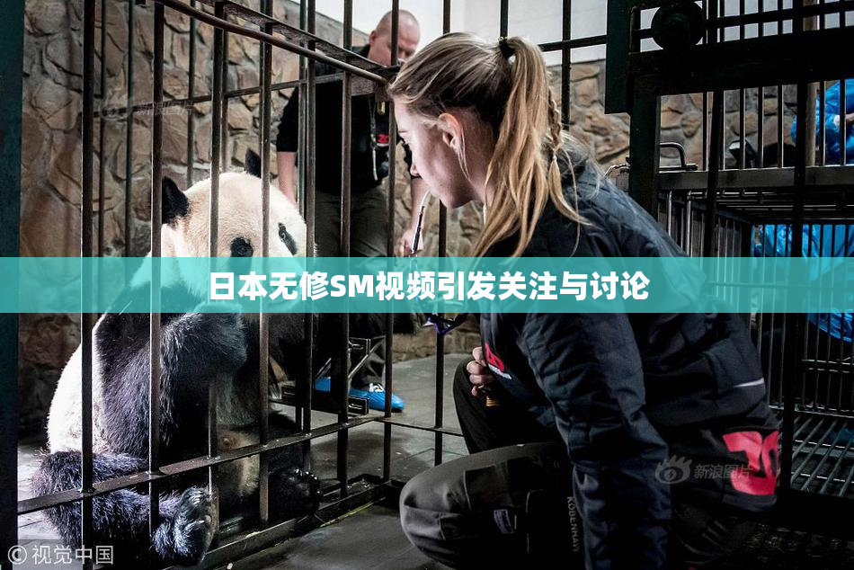 日本无修SM视频引发关注与讨论