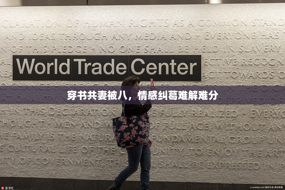 穿书共妻被八，情感纠葛难解难分