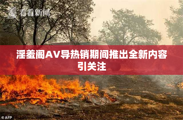 淫羞阁AV导热销期间推出全新内容引关注