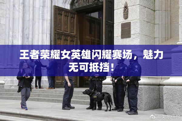 王者荣耀女英雄闪耀赛场，魅力无可抵挡！