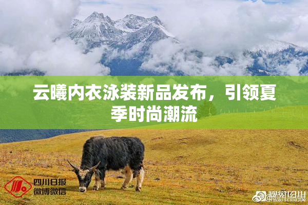 云曦内衣泳装新品发布，引领夏季时尚潮流