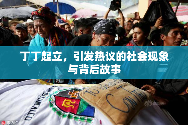 丁丁起立，引发热议的社会现象与背后故事