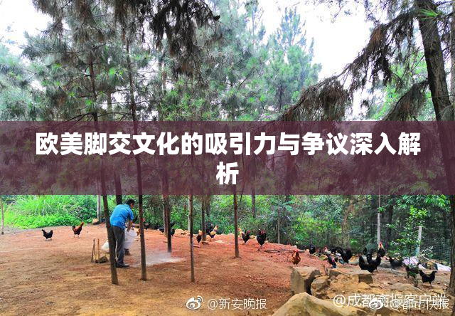 欧美脚交文化的吸引力与争议深入解析