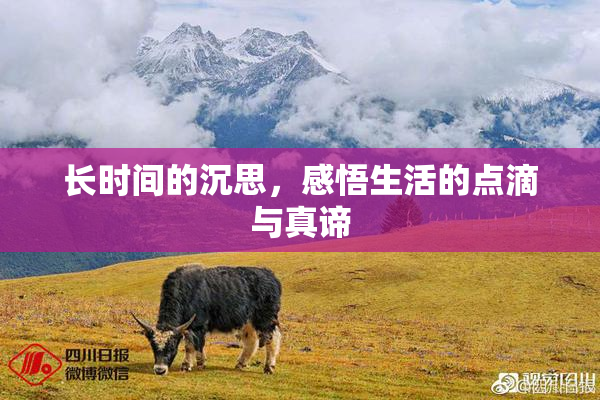 长时间的沉思，感悟生活的点滴与真谛