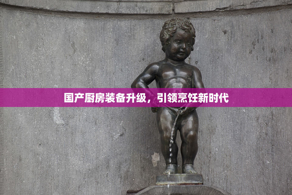 国产厨房装备升级，引领烹饪新时代