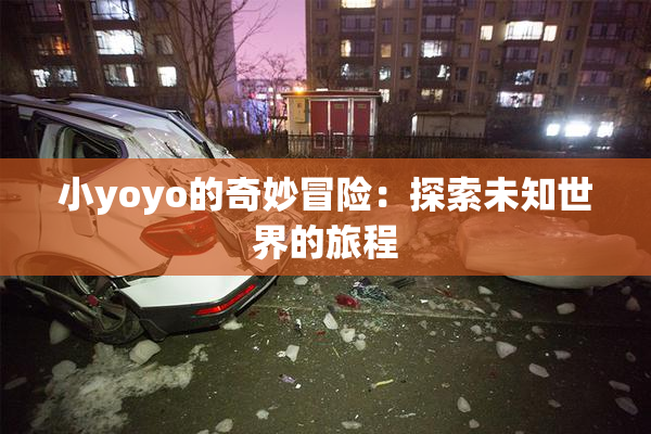 小yoyo的奇妙冒险：探索未知世界的旅程