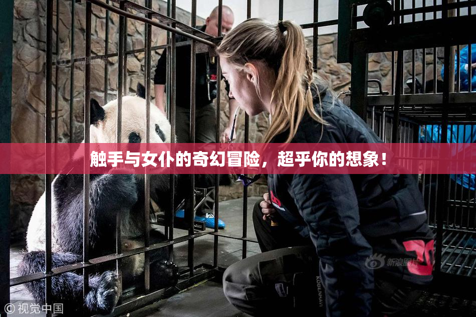 触手与女仆的奇幻冒险，超乎你的想象！