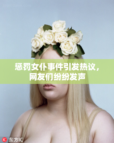 惩罚女仆事件引发热议，网友们纷纷发声