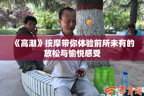 《高潮》按摩带你体验前所未有的放松与愉悦感受