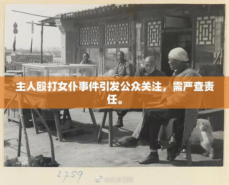 主人殴打女仆事件引发公众关注，需严查责任。