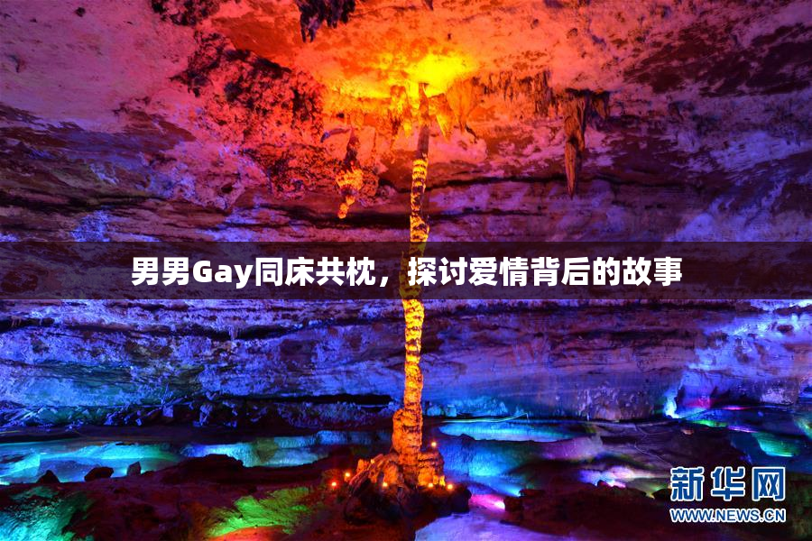 男男Gay同床共枕，探讨爱情背后的故事