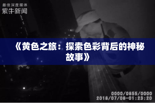 《黄色之旅：探索色彩背后的神秘故事》
