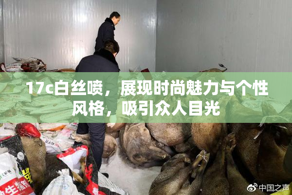 17c白丝喷，展现时尚魅力与个性风格，吸引众人目光
