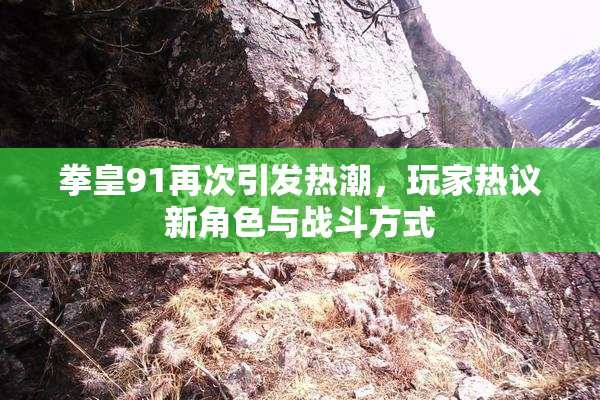 拳皇91再次引发热潮，玩家热议新角色与战斗方式