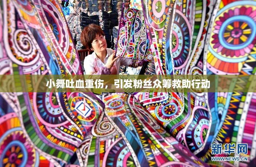 小舞吐血重伤，引发粉丝众筹救助行动