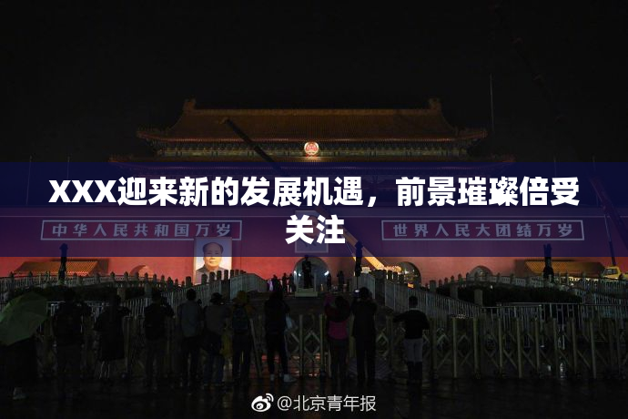 XXX迎来新的发展机遇，前景璀璨倍受关注
