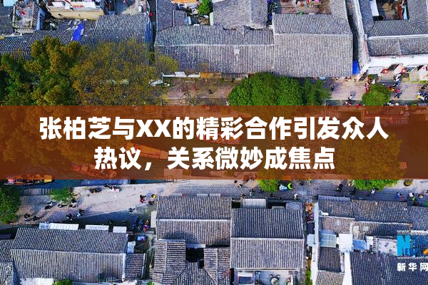 张柏芝与XX的精彩合作引发众人热议，关系微妙成焦点