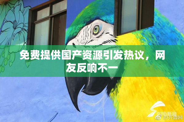 免费提供国产资源引发热议，网友反响不一