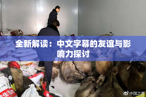 全新解读：中文字幕的友谊与影响力探讨