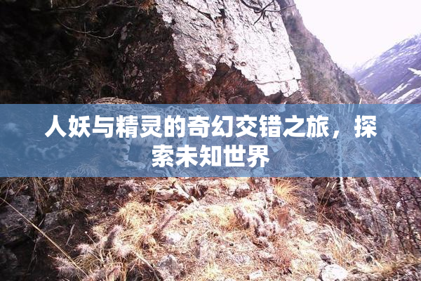 人妖与精灵的奇幻交错之旅，探索未知世界
