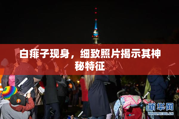 白痱子现身，细致照片揭示其神秘特征