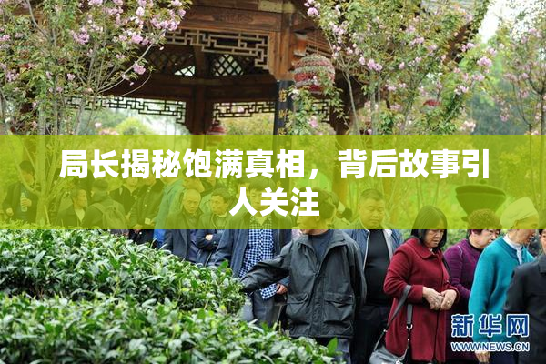 局长揭秘饱满真相，背后故事引人关注