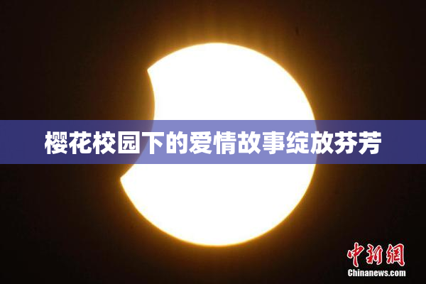 樱花校园下的爱情故事绽放芬芳