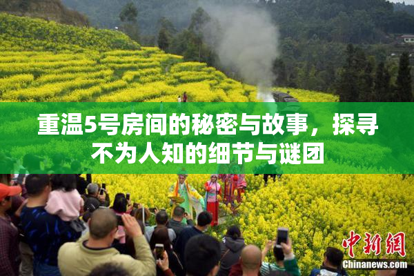 重温5号房间的秘密与故事，探寻不为人知的细节与谜团