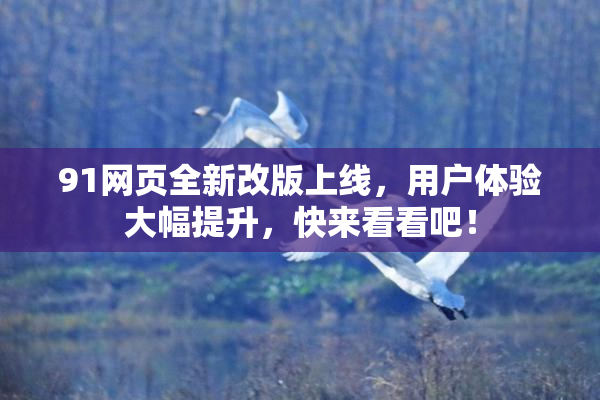 91网页全新改版上线，用户体验大幅提升，快来看看吧！