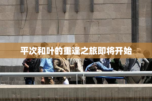 平次和叶的重逢之旅即将开始