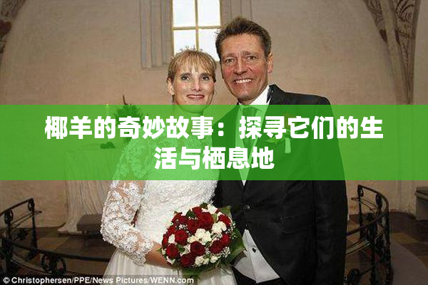 椰羊的奇妙故事：探寻它们的生活与栖息地