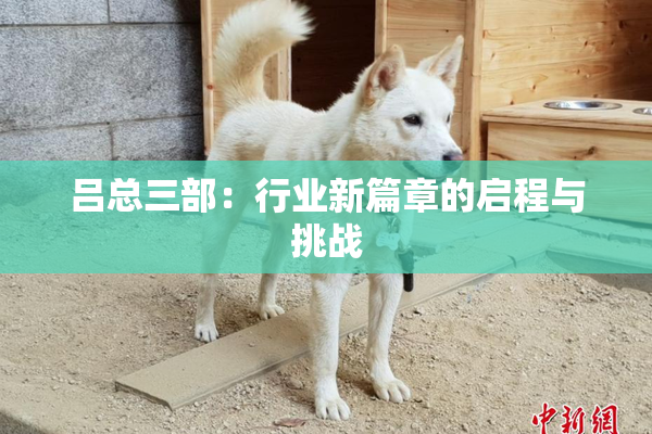 吕总三部：行业新篇章的启程与挑战
