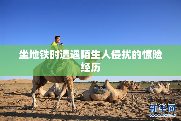 坐地铁时遭遇陌生人侵扰的惊险经历