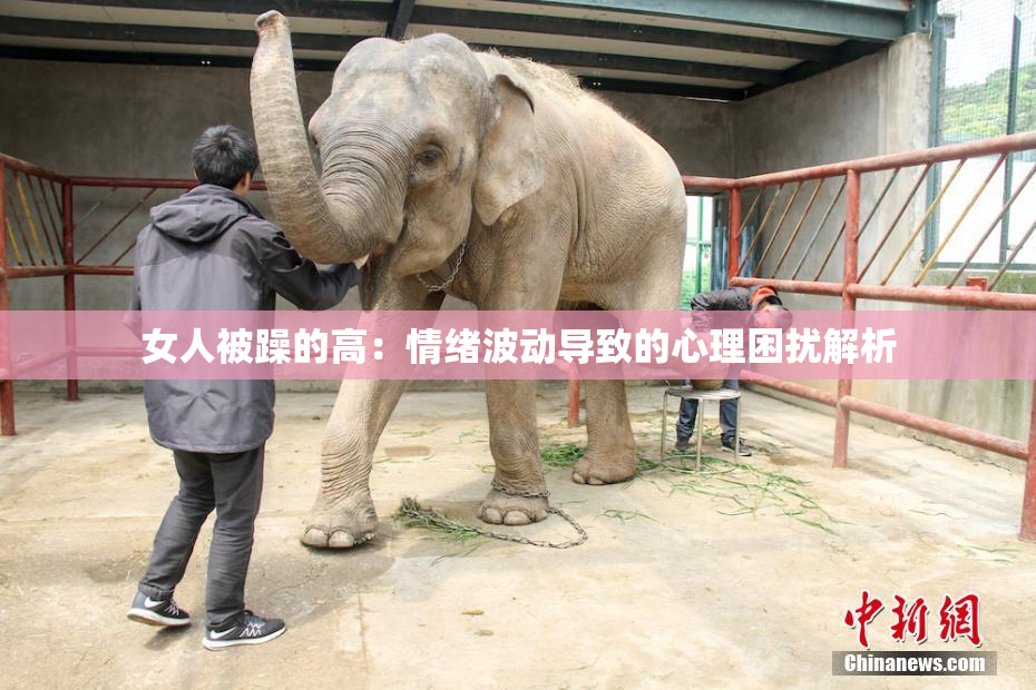 女人被躁的高：情绪波动导致的心理困扰解析