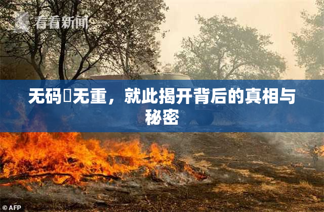 无码囯无重，就此揭开背后的真相与秘密