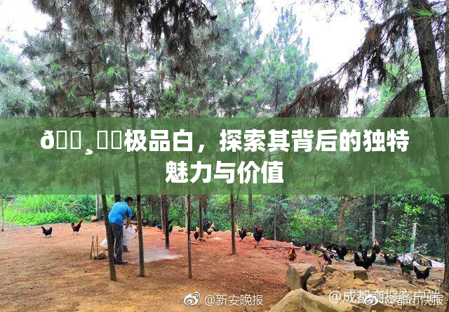 🌸‌✿极品白，探索其背后的独特魅力与价值