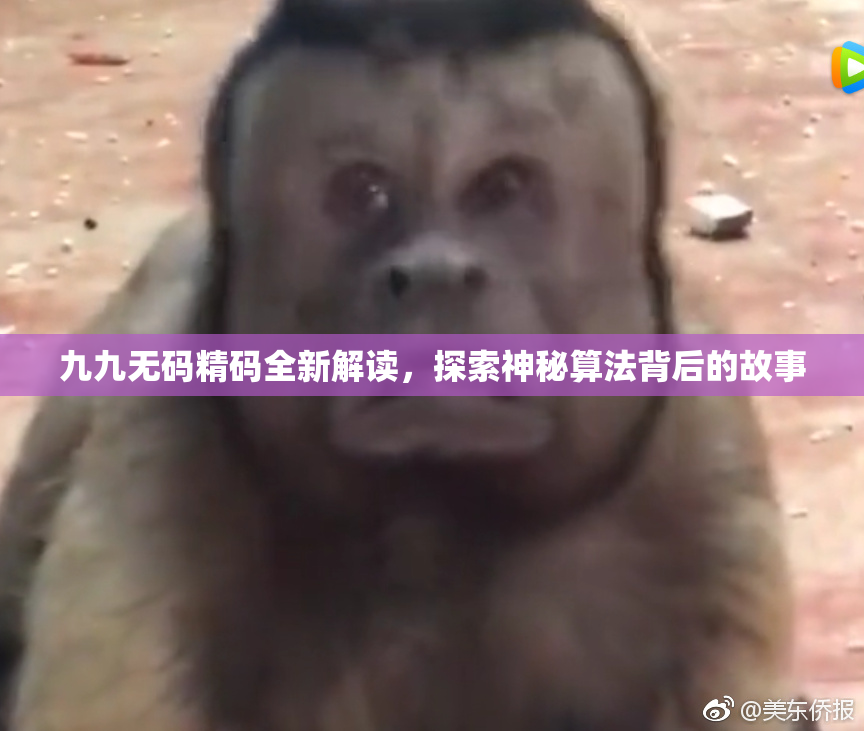 九九无码精码全新解读，探索神秘算法背后的故事