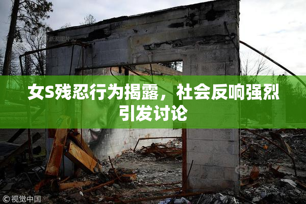 女S残忍行为揭露，社会反响强烈引发讨论