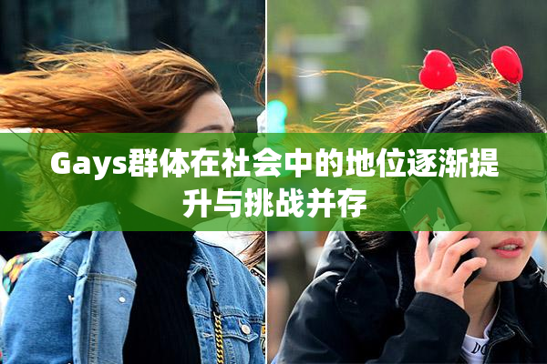 Gays群体在社会中的地位逐渐提升与挑战并存